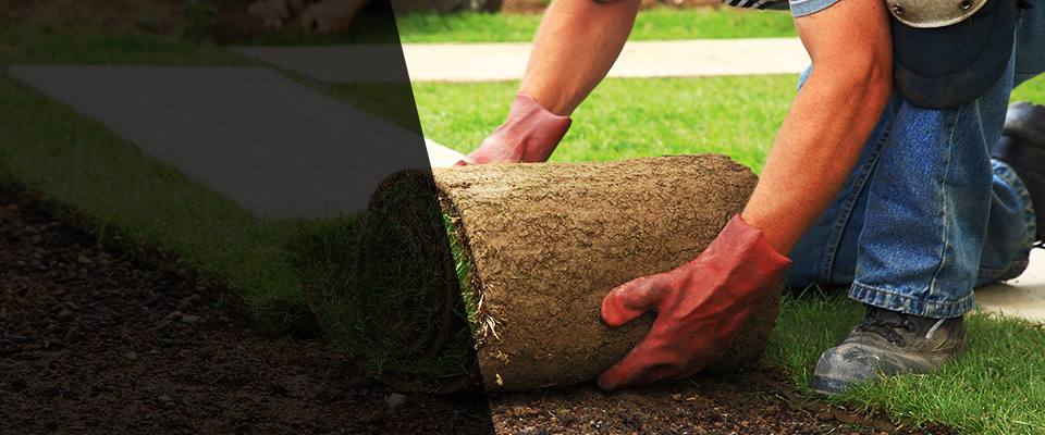 Montpelier Landscapers